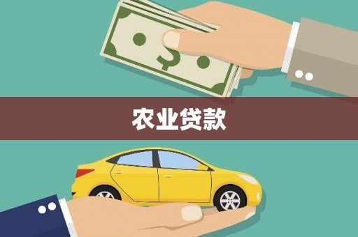 金城江农业贷款