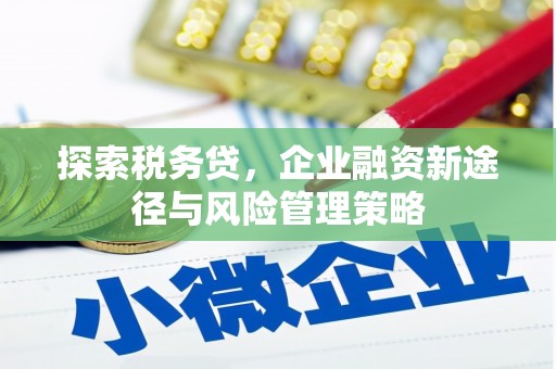 金城江探索税务贷，企业融资新途径与风险管理策略