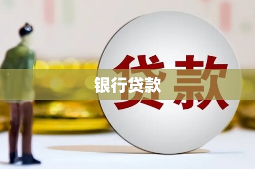 金城江银行贷款