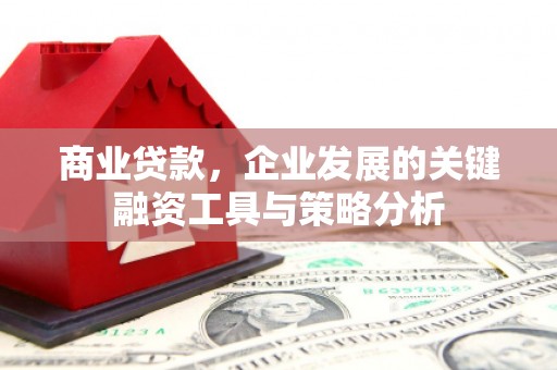金城江商业贷款，企业发展的关键融资工具与策略分析