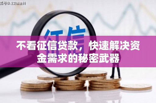 金城江不看征信贷款，快速解决资金需求的秘密武器