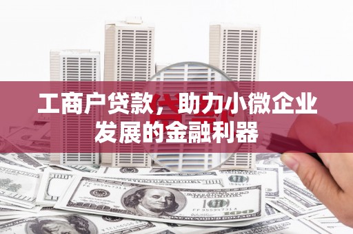 金城江工商户贷款，助力小微企业发展的金融利器