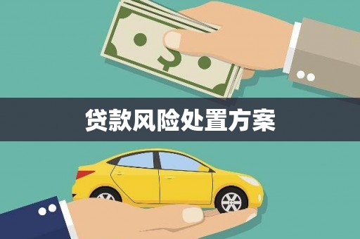 金城江贷款风险处置方案