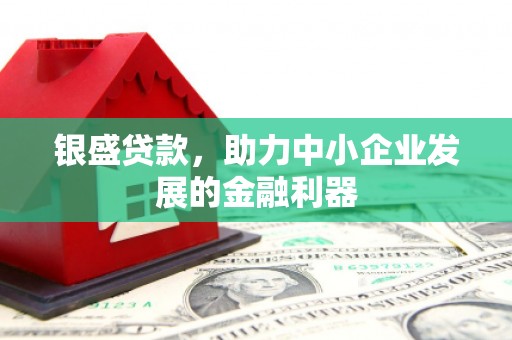金城江银盛贷款，助力中小企业发展的金融利器
