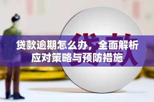 金城江贷款逾期怎么办，全面解析应对策略与预防措施