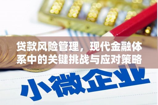 金城江贷款风险管理，现代金融体系中的关键挑战与应对策略