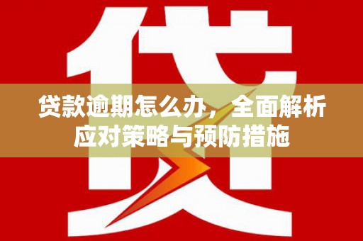 金城江贷款逾期怎么办，全面解析应对策略与预防措施