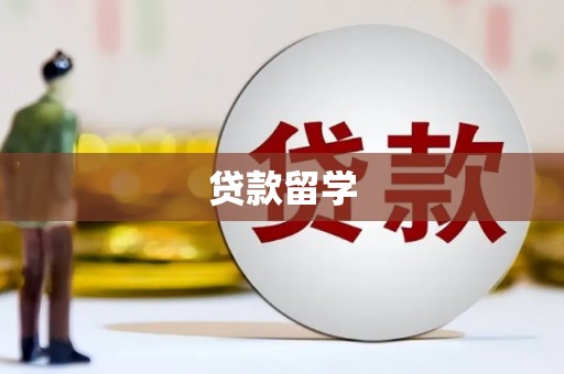 金城江贷款留学
