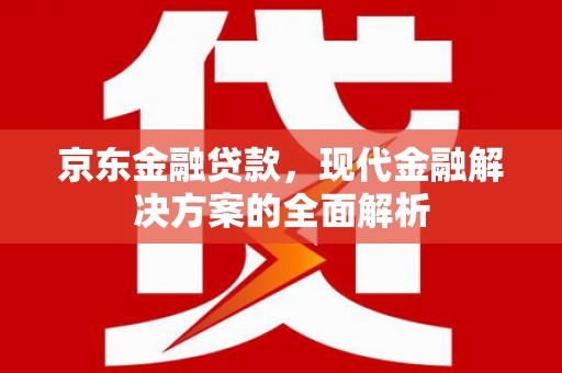 金城江京东金融贷款，现代金融解决方案的全面解析