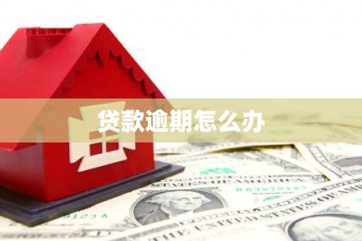 金城江贷款逾期怎么办