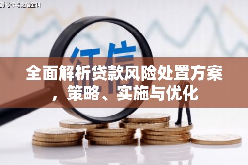 金城江全面解析贷款风险处置方案，策略、实施与优化
