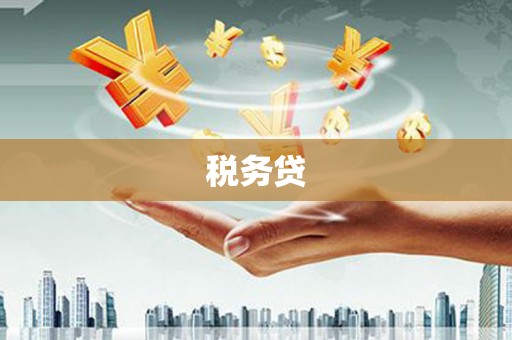 金城江税务贷