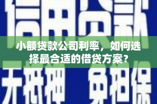 金城江小额贷款公司利率，如何选择最合适的借贷方案？