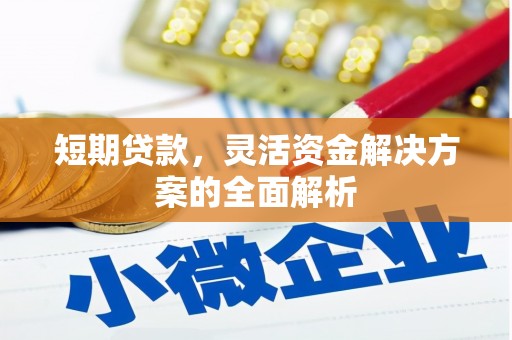 金城江短期贷款，灵活资金解决方案的全面解析