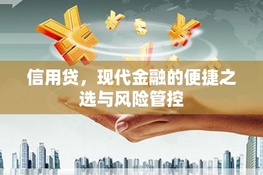 金城江信用贷，现代金融的便捷之选与风险管控