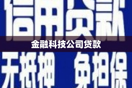 金城江金融科技公司贷款