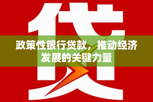 金城江政策性银行贷款，推动经济发展的关键力量