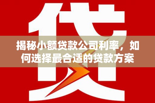 金城江揭秘小额贷款公司利率，如何选择最合适的贷款方案