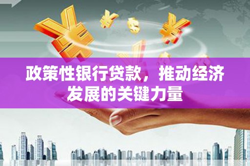 金城江政策性银行贷款，推动经济发展的关键力量