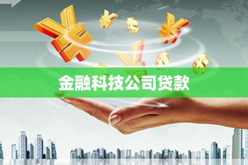 金城江金融科技公司贷款