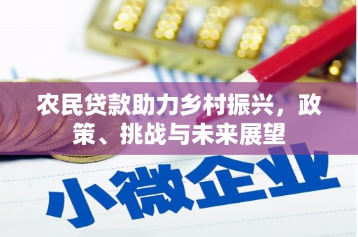 金城江农民贷款助力乡村振兴，政策、挑战与未来展望