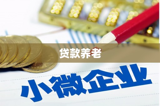 金城江贷款养老
