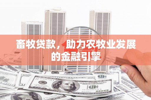 金城江畜牧贷款，助力农牧业发展的金融引擎