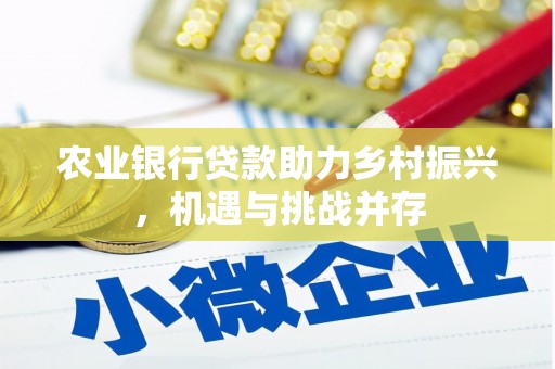 金城江农业银行贷款助力乡村振兴，机遇与挑战并存
