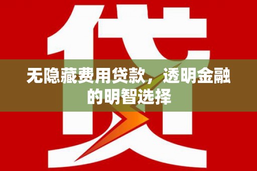 金城江无隐藏费用贷款，透明金融的明智选择