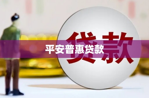 金城江平安普惠贷款