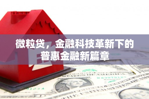 金城江微粒贷，金融科技革新下的普惠金融新篇章