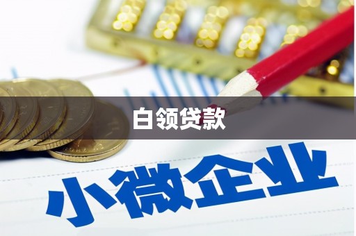 金城江白领贷款