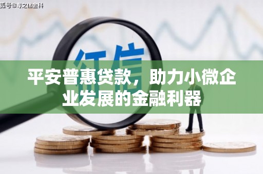金城江平安普惠贷款，助力小微企业发展的金融利器