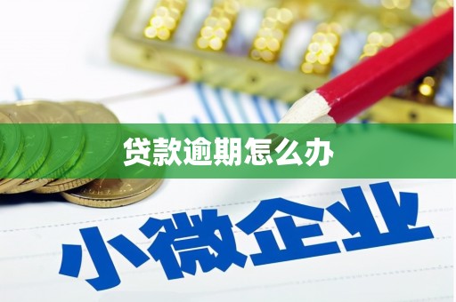 金城江贷款逾期怎么办