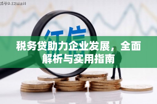 金城江税务贷助力企业发展，全面解析与实用指南