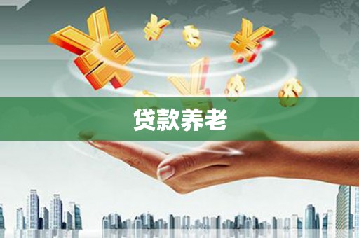 金城江贷款养老