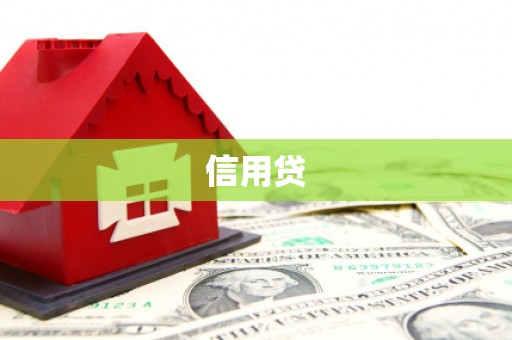 金城江信用贷
