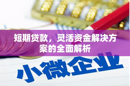金城江短期贷款，灵活资金解决方案的全面解析