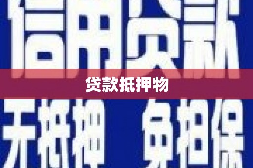 金城江贷款抵押物
