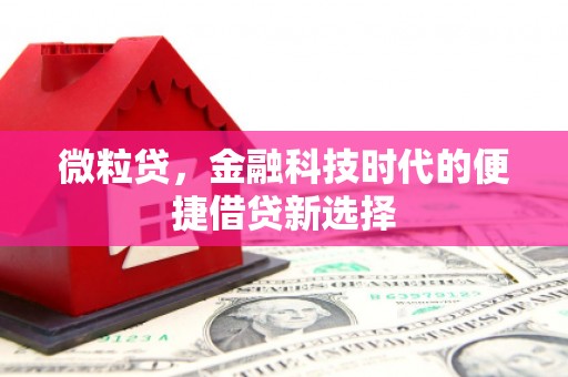 金城江微粒贷，金融科技时代的便捷借贷新选择