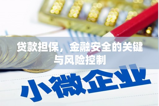 金城江贷款担保，金融安全的关键与风险控制