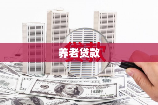 金城江养老贷款