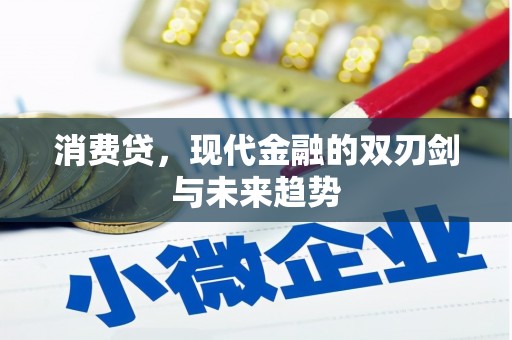 金城江消费贷，现代金融的双刃剑与未来趋势