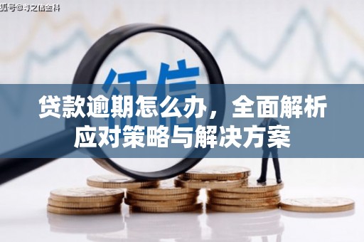金城江贷款逾期怎么办，全面解析应对策略与解决方案