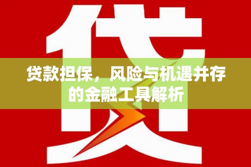 金城江贷款担保，风险与机遇并存的金融工具解析