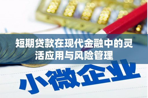 金城江短期贷款在现代金融中的灵活应用与风险管理