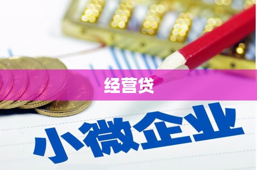 金城江经营贷