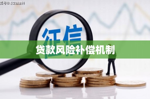 金城江贷款风险补偿机制