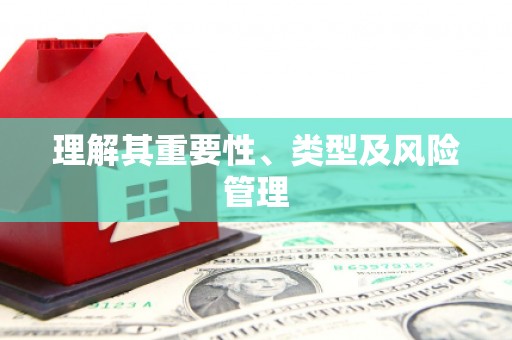 金城江理解其重要性、类型及风险管理