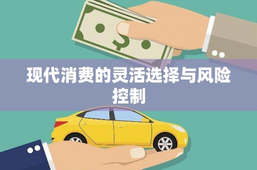 金城江现代消费的灵活选择与风险控制
